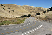 california kingsnake habitat