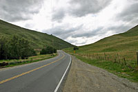 northern pacific rattlesnake habitat