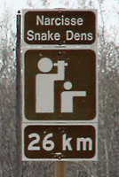 narcisse dens sign