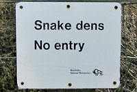 narcisse dens sign