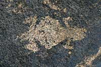 Native American Rock Art