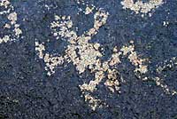 Native American Rock Art