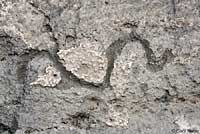 Native American Rock Art