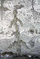 Native American Rock Art