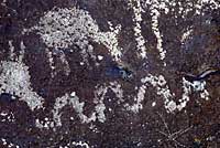 Native American Rock Art