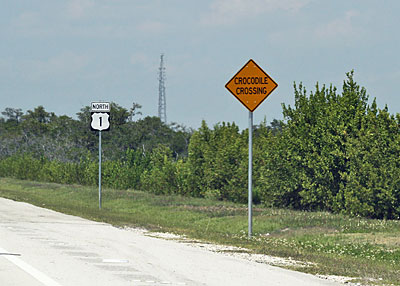 gator sign