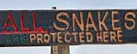 snake sign