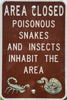 snake sign