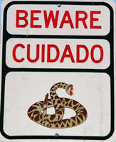 snake sign