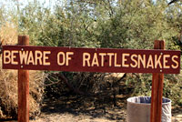 Rattlesnake Sign