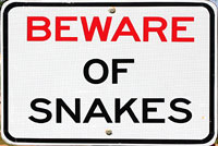 snake sign