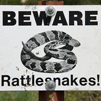 snake sign