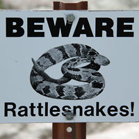 snake sign