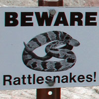 snake sign