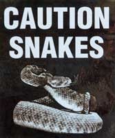 snake sign