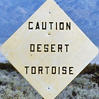 Tortoise Sign