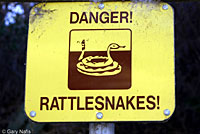 snake sign