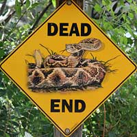 snake sign