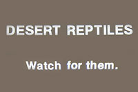 lizard sign