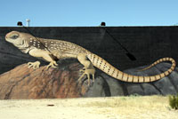 29 Palms Iguana Mural