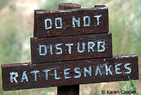 snake sign