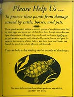 Turtle Sign