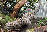  crocodile sculpture