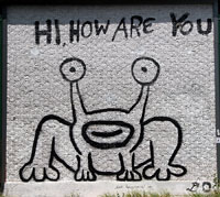 Austin Daniel Johnston Frog