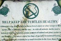 Turtle Sign