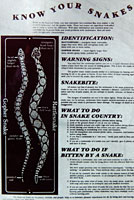 snake sign