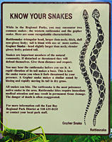 Gopher Snake Rattlesnake Comparison Sign