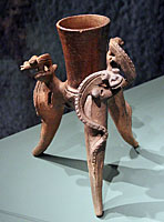 lizards vessel