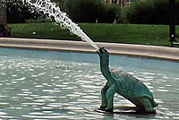 turtle statue