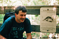 Turtle Sign