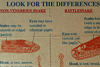 Gophersnake Rattlesnake Comparison Sign