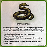 Rattlesnake Sign
