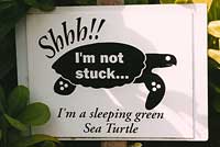 Turtle Sign