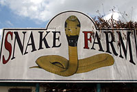herp stuff