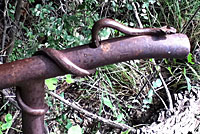 sculpture