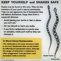 Rattlesnake Sign