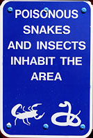 snake sign