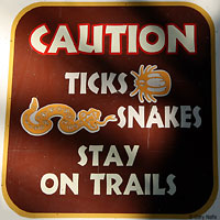 snake sign