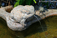 frog fountain