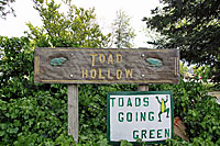 toad hollow