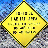 Tortoise Sign