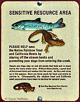herp stuff