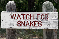 snake sign