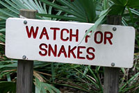 snake sign