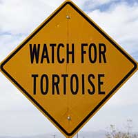 Tortoise Sign