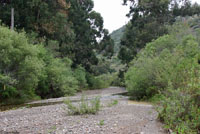 Santa Cruz Island